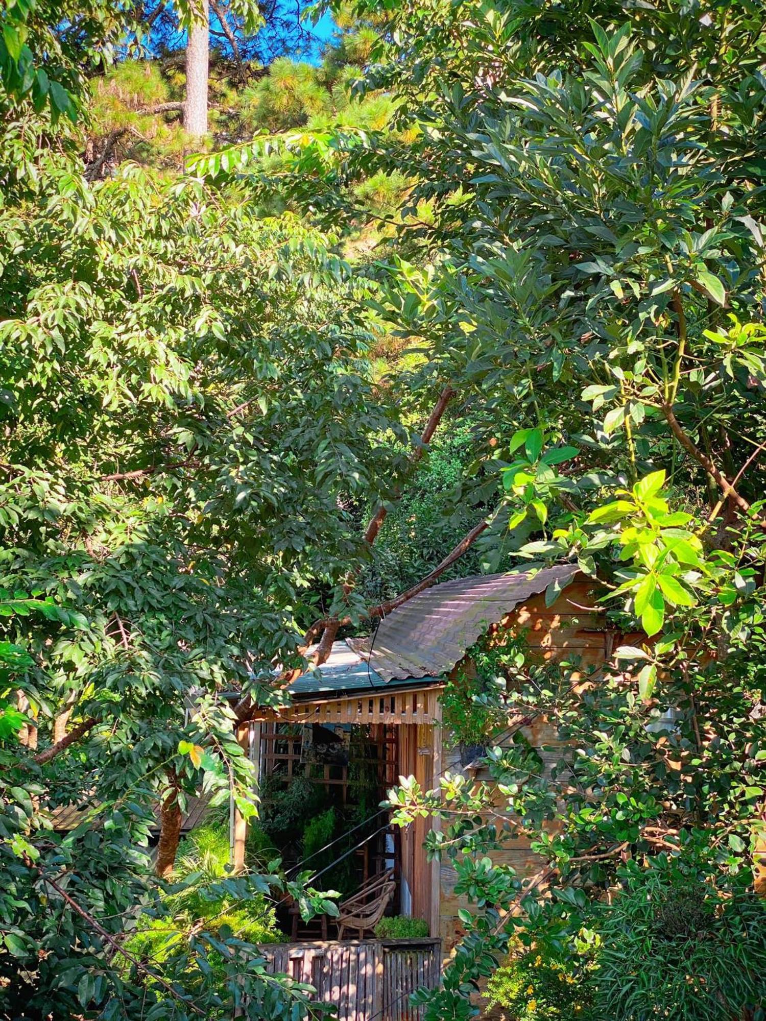 Dalat Memories Homestay - Pho Suong Mo Da Lat Kültér fotó