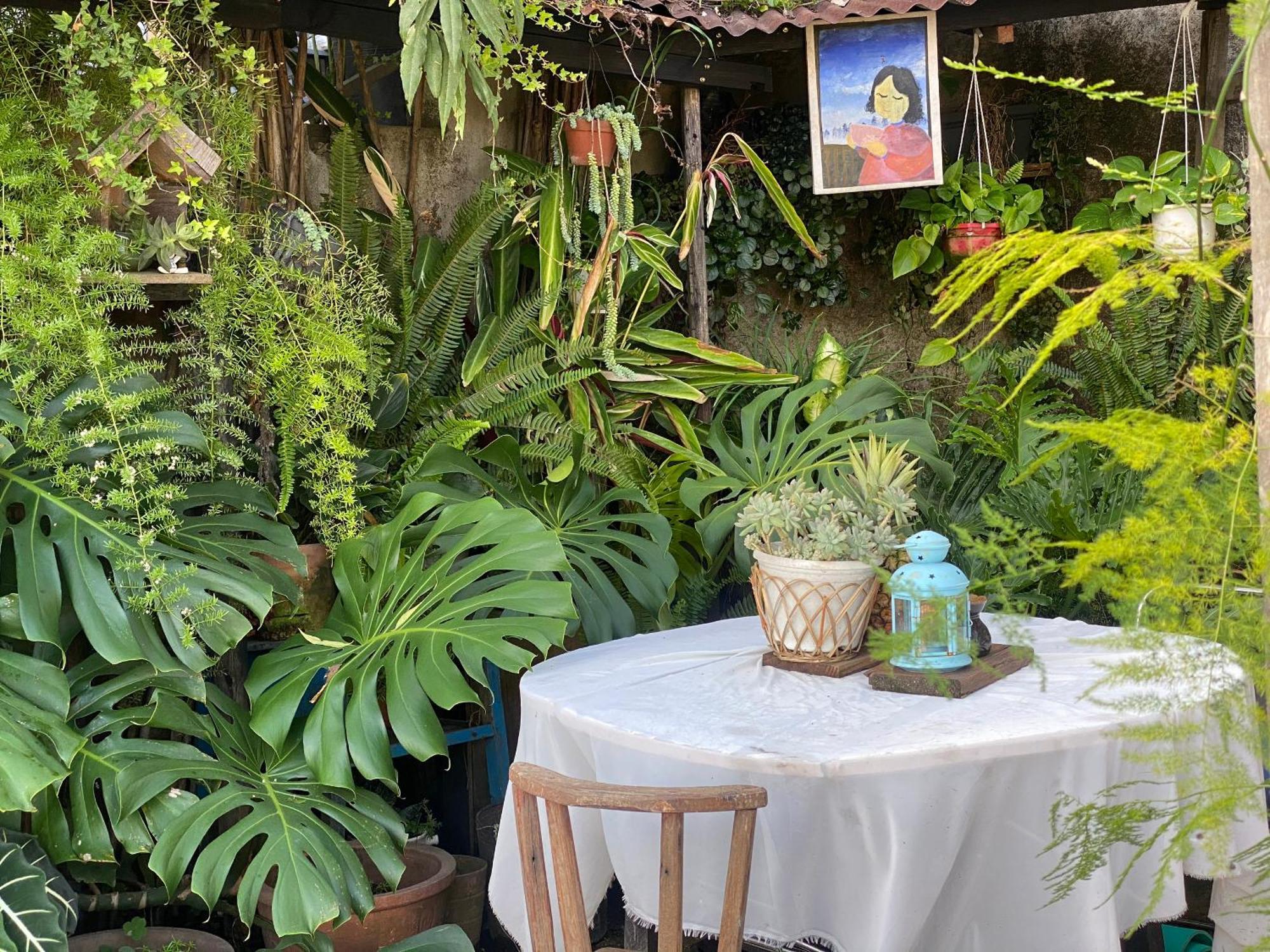 Dalat Memories Homestay - Pho Suong Mo Da Lat Kültér fotó