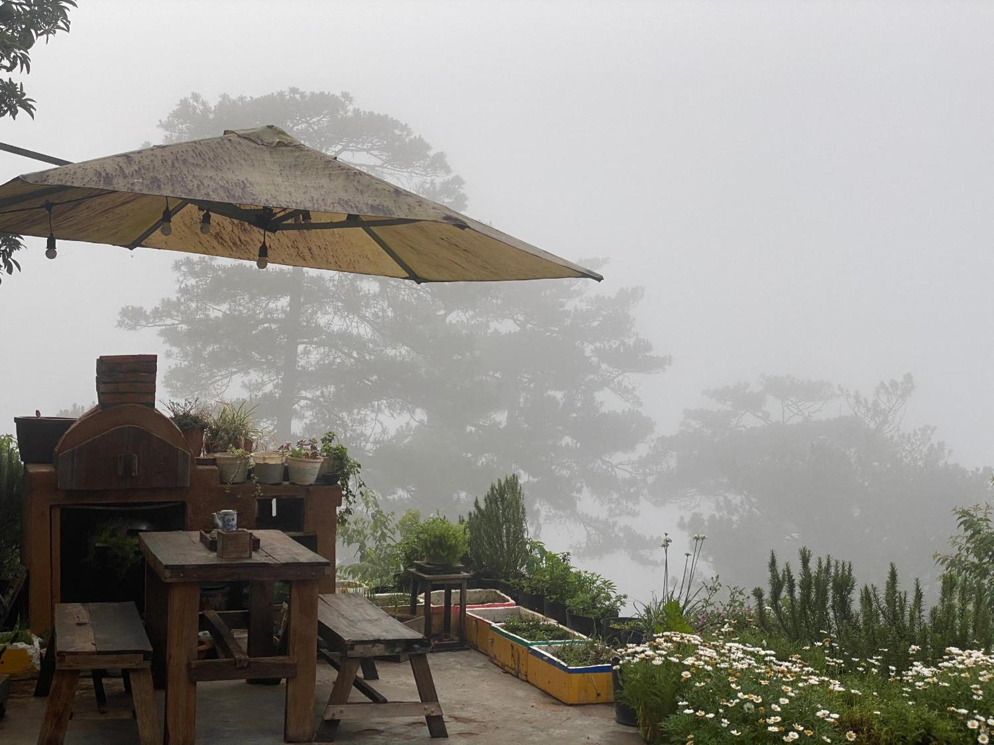 Dalat Memories Homestay - Pho Suong Mo Da Lat Kültér fotó
