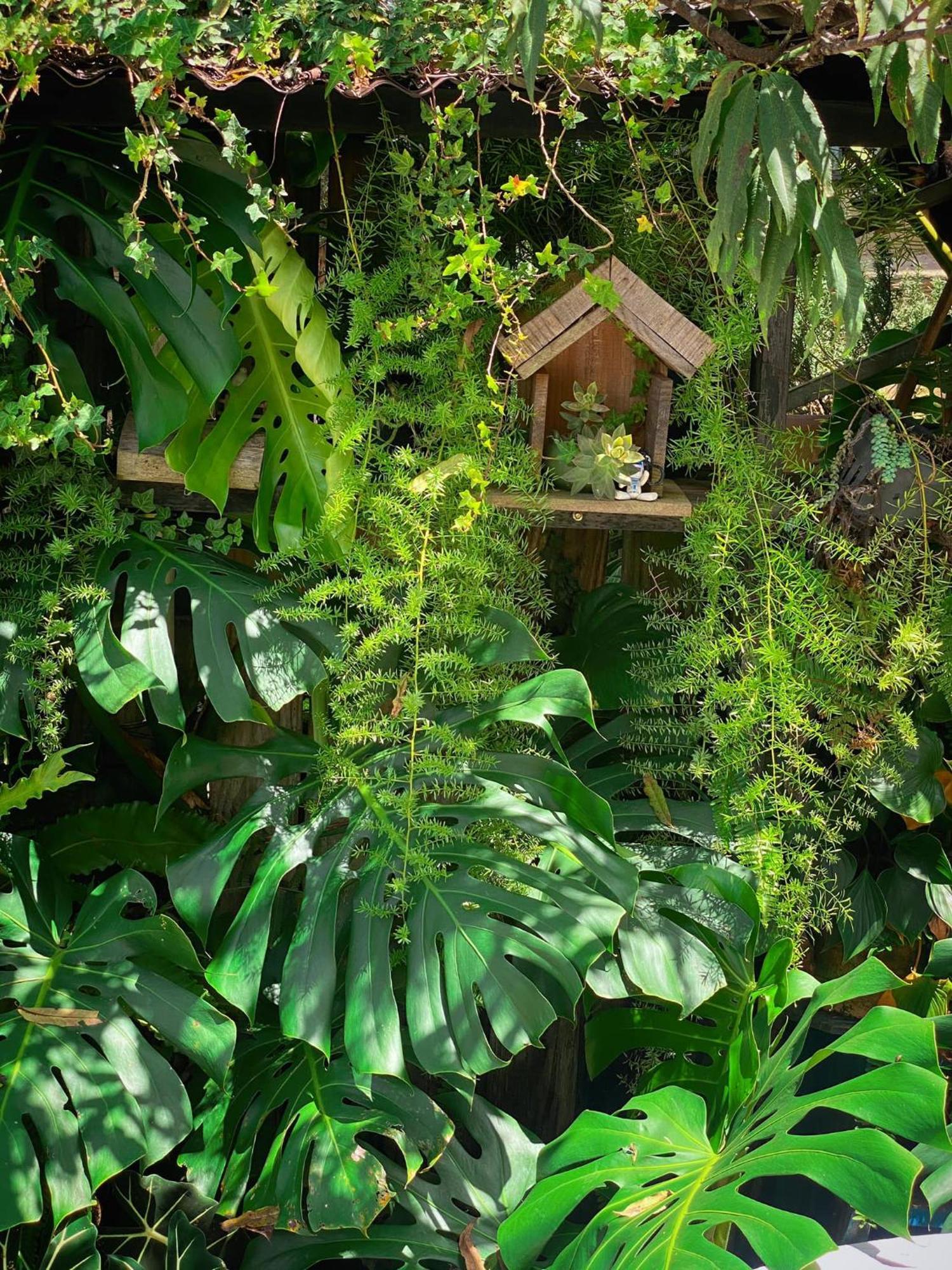 Dalat Memories Homestay - Pho Suong Mo Da Lat Kültér fotó