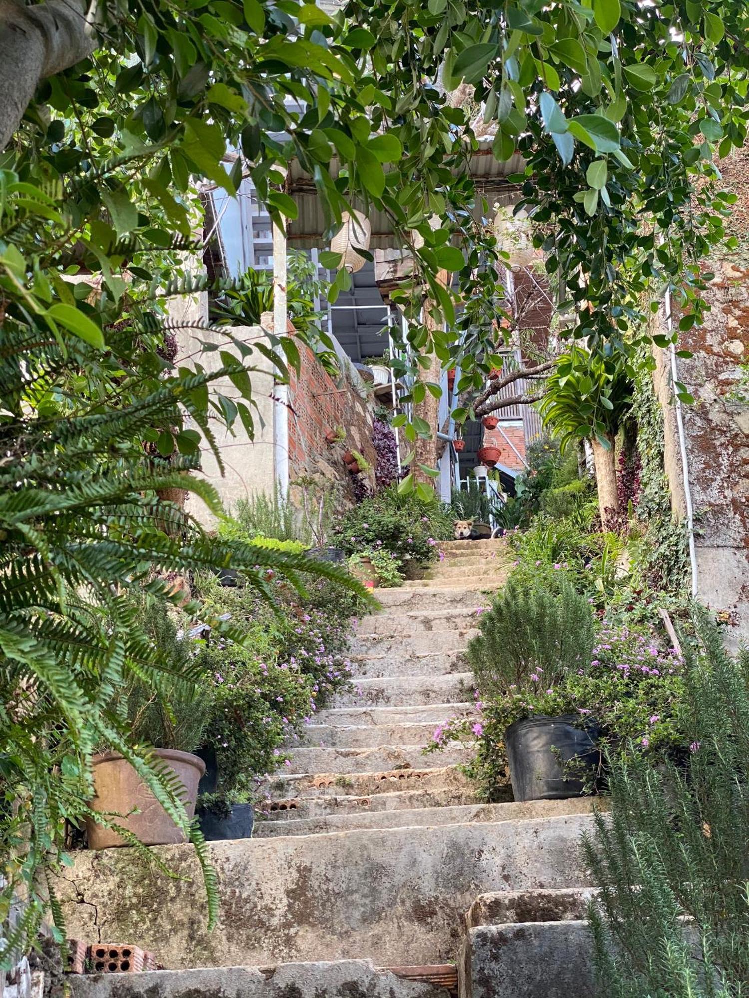 Dalat Memories Homestay - Pho Suong Mo Da Lat Kültér fotó