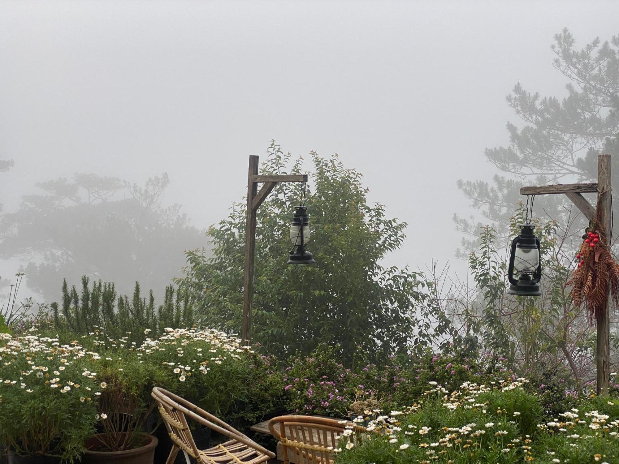 Dalat Memories Homestay - Pho Suong Mo Da Lat Kültér fotó