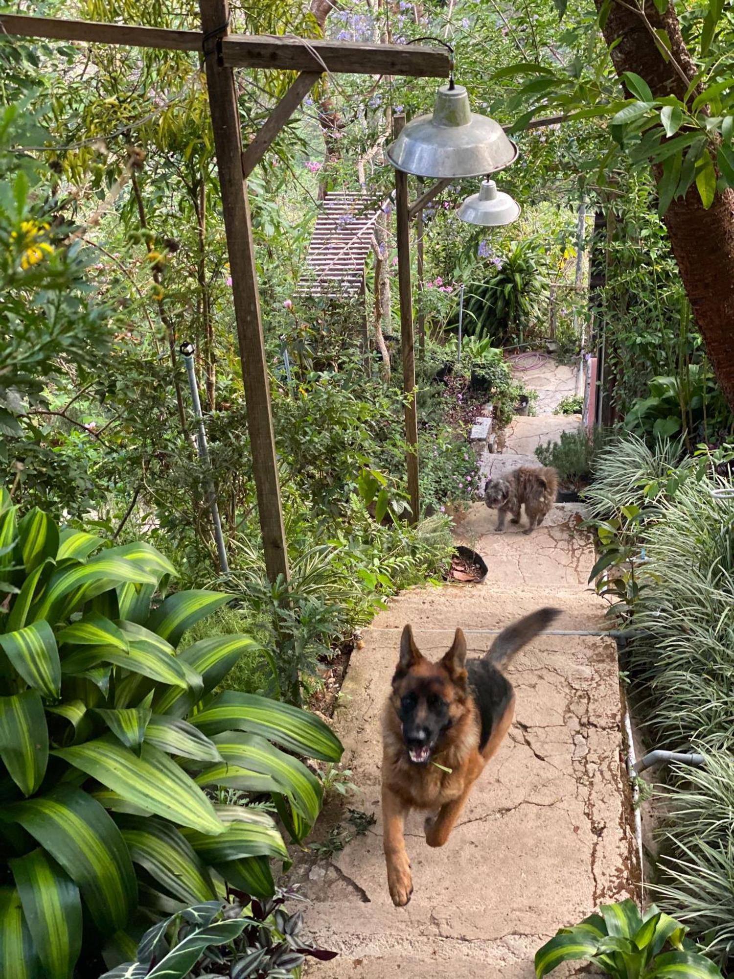 Dalat Memories Homestay - Pho Suong Mo Da Lat Kültér fotó